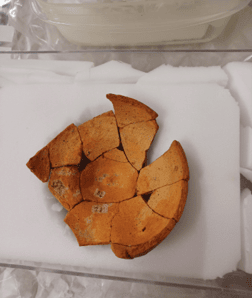 Bottom of tettine which was in nearly 1000 fragments.