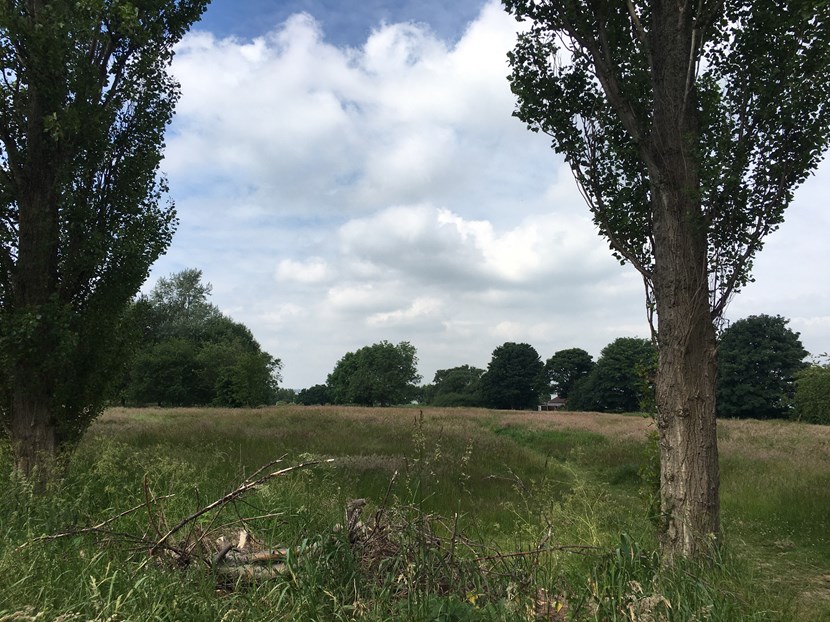 Work has started on the transformation of the former South Leeds Golf Course: SLGC
