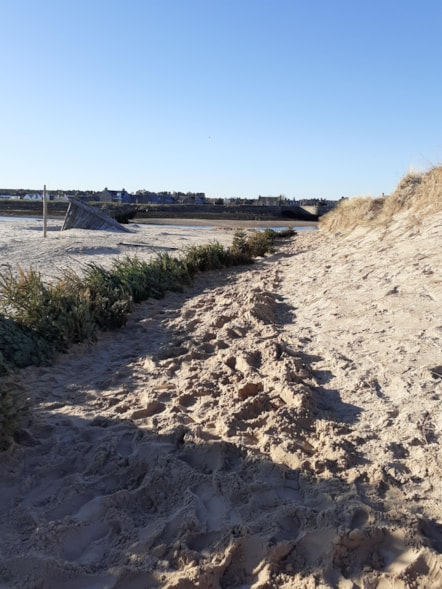Christmas tree project Lossiemouth