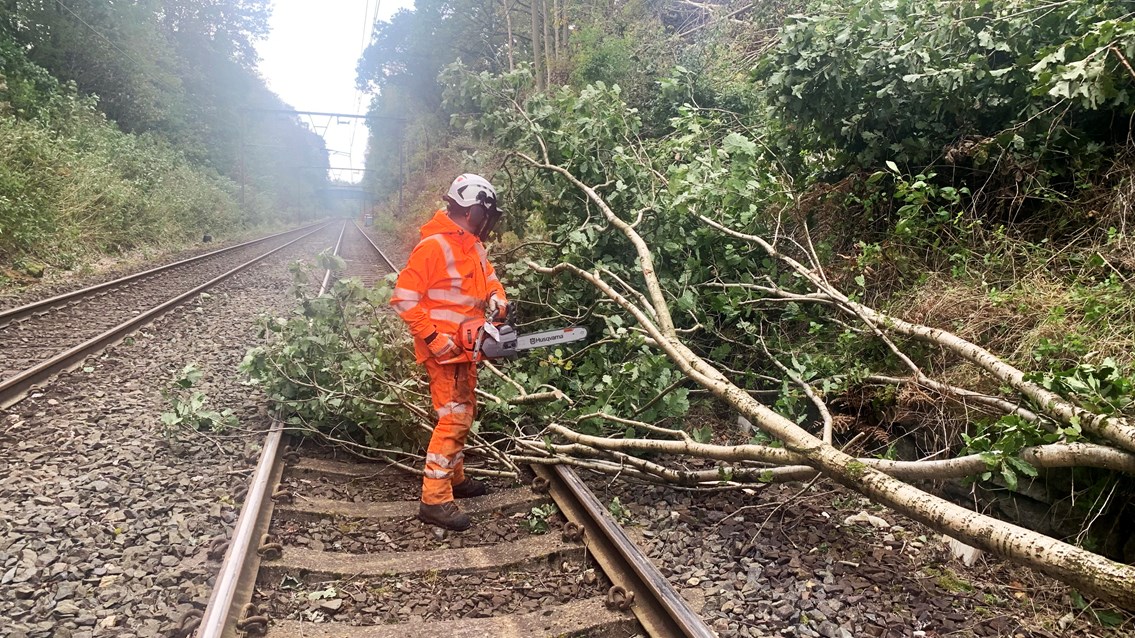 Fallen tree near Broadbottom station on the Glossop line Wednesday 18 October