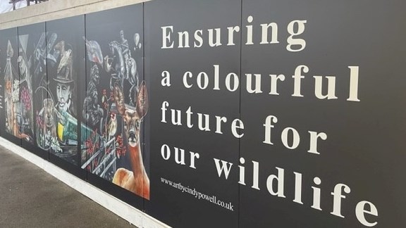 Ensuring a colourful future for our wildlife