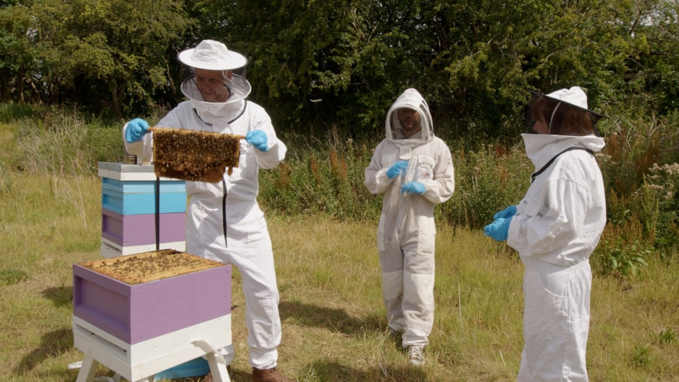 Hives 2