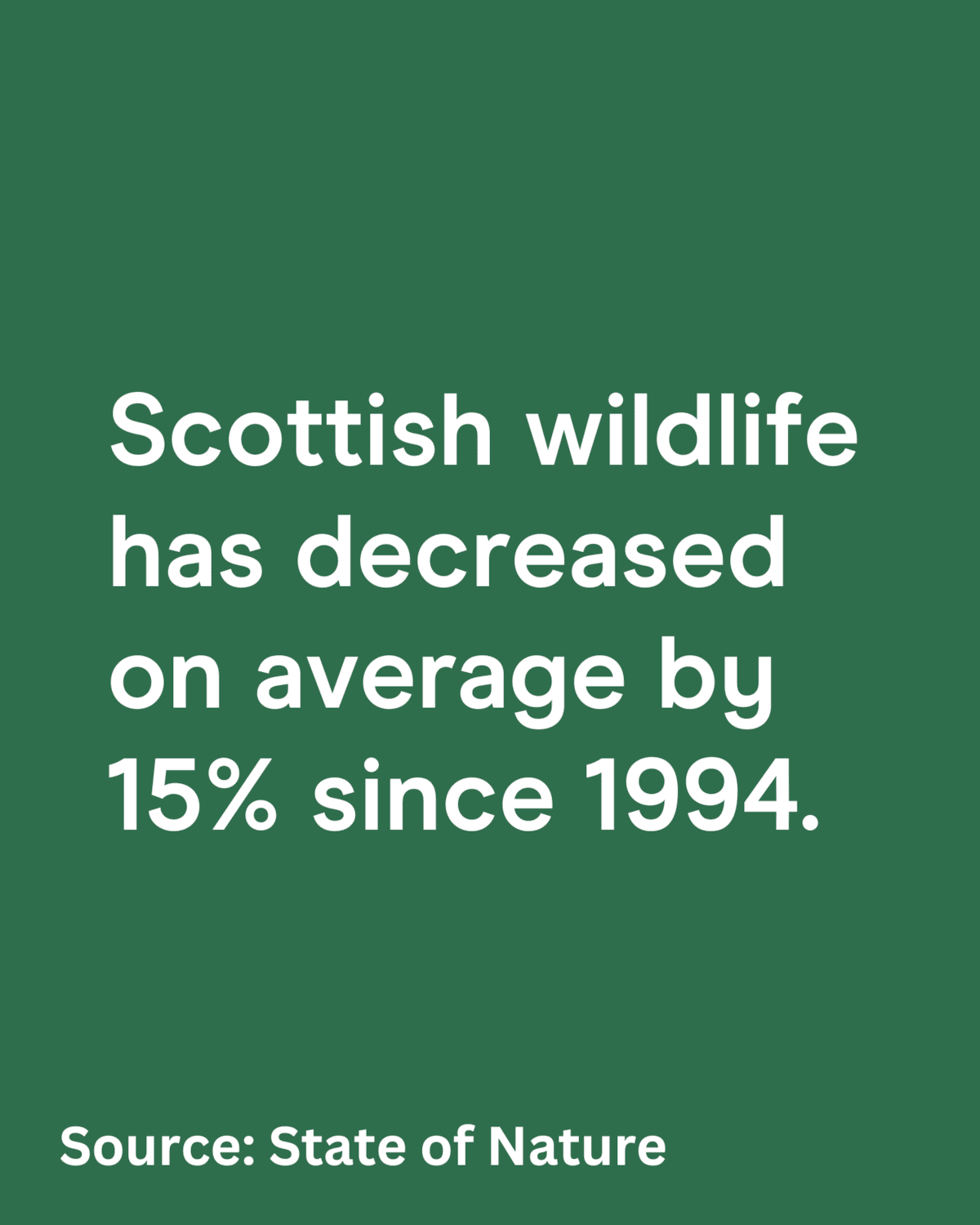 Social asset - Nature 1 - 1080 x1350