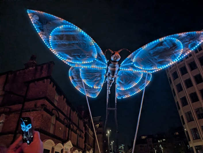 Butterflies - Emergency Exit Arts: Enormous butterflies roamed freely through Aire Park at Light Night Leeds.