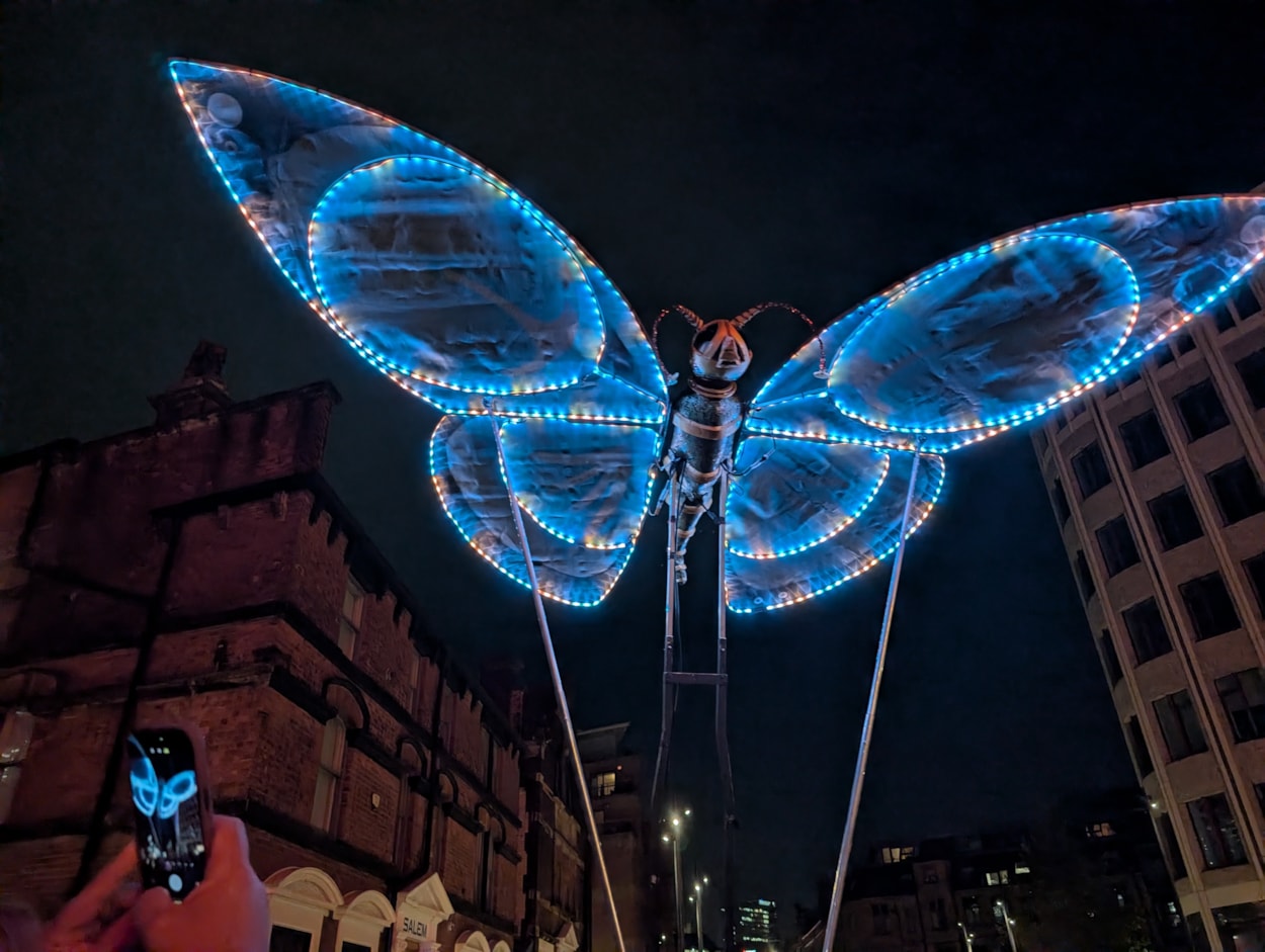 Butterflies - Emergency Exit Arts: Enormous butterflies roamed freely through Aire Park at Light Night Leeds.