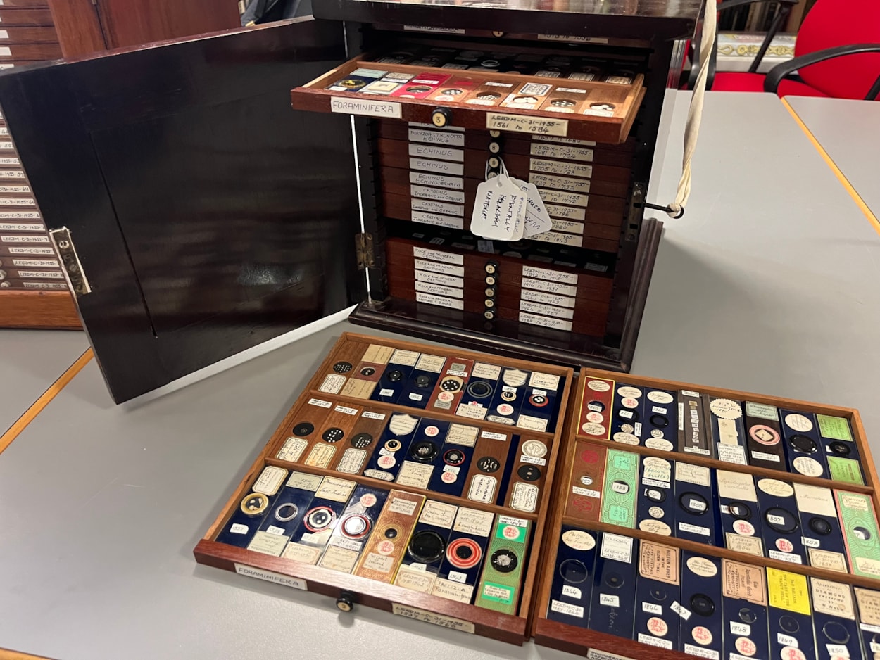 Microscope slides: Stored in small, wooden trays, the microscope slides collection is thousands strong and is being painstakingly reviewed as part of a volunteer project.