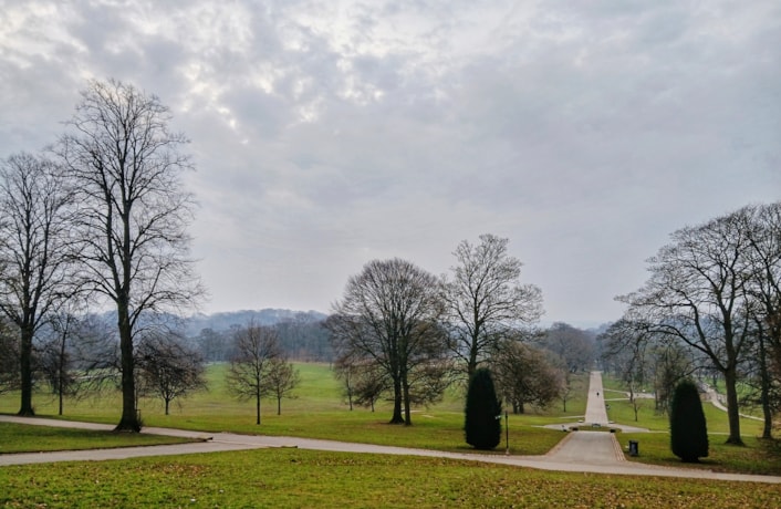 Roundhay Park Winter: Roundhay Park Winter