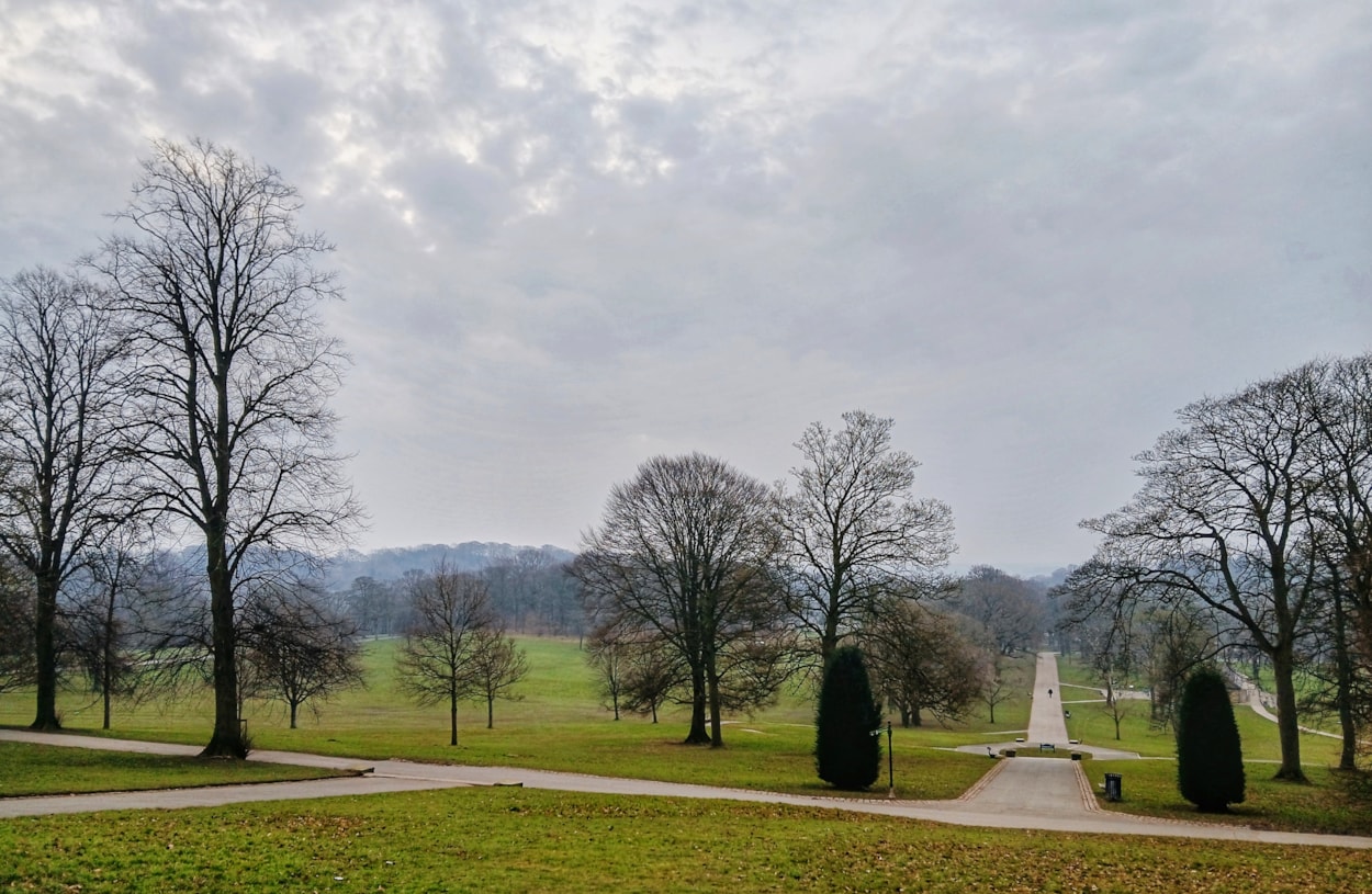 Roundhay Park Winter