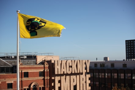Black History Flag