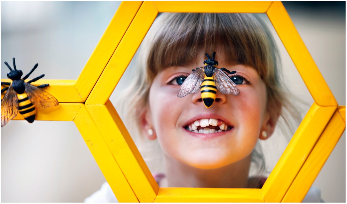 Caela Callander (7) examines geometric honeycomb ahead of Maths Week Scotland 2025. Photo © Paul Dodd 6