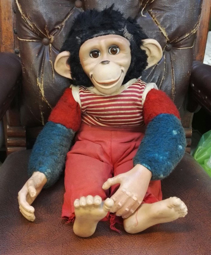 Object of the week- Joey the monkey: joey-664655.jpeg