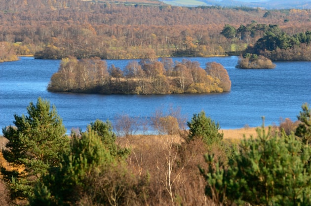 Visitors asked to help birds by staying off the water at Muir of Dinnet: View over Loch Kinord from a viewpoint at Muir of Dinnet NNR ©Lorne Gill NatureScot