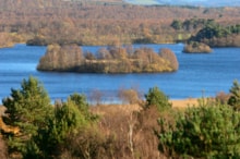 View over Loch Kinord from a viewpoint at Muir of Dinnet NNR ©Lorne Gill NatureScot: View over Loch Kinord from a viewpoint at Muir of Dinnet NNR ©Lorne Gill NatureScot