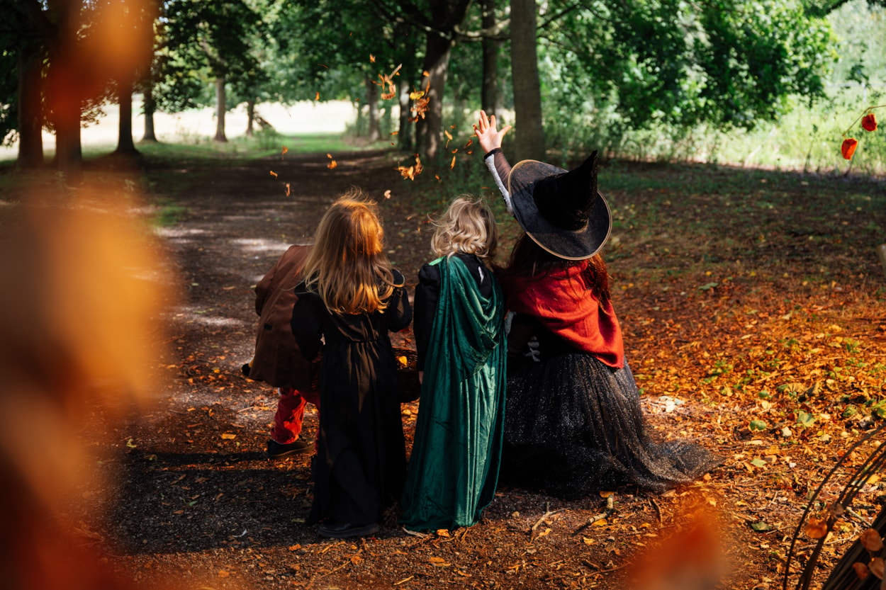 Spellbound Lotherton-5: Set amongst the golden-hued trees of the Lotherton estate, Spellbound will be an autumnal exploration for the whole family.