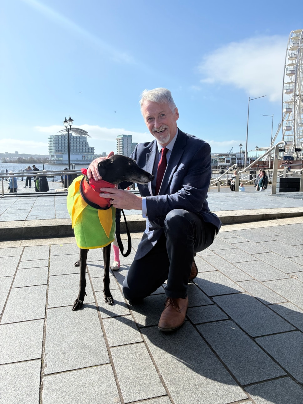 DFM & Greyhound 