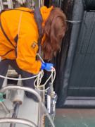 Elizabeth Boyse collecting seawater samples in the Northwest Passage: Elizabeth Boyse collecting seawater samples in the Northwest Passage