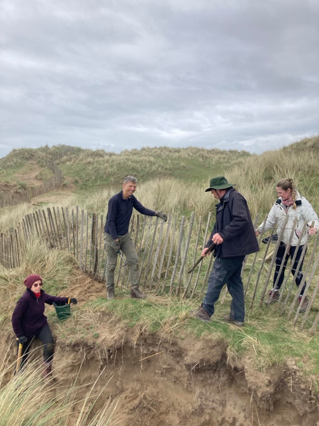 Volunteering Dune Fencing