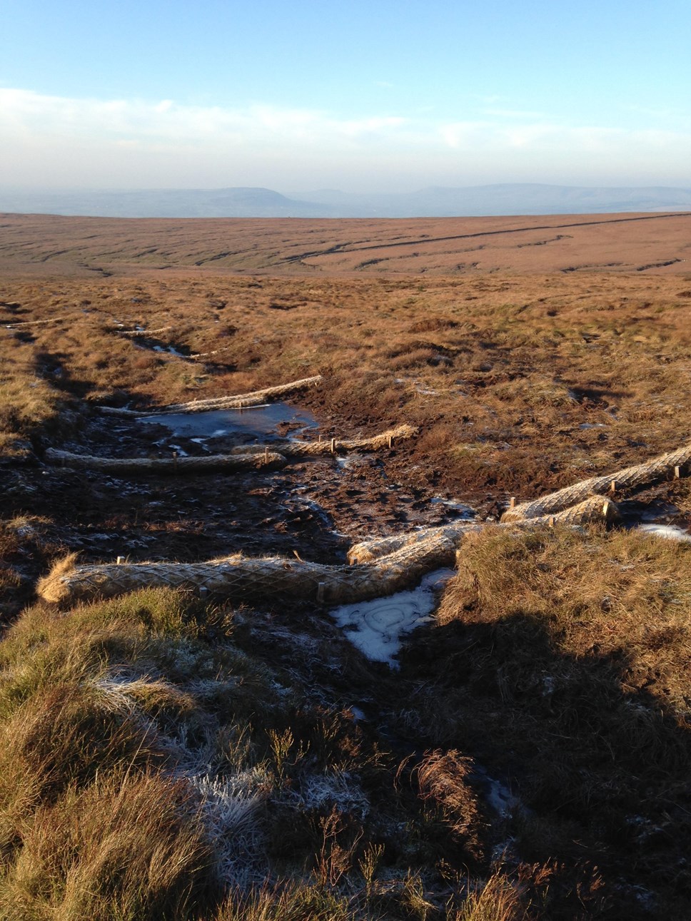 A previous peatland restoration