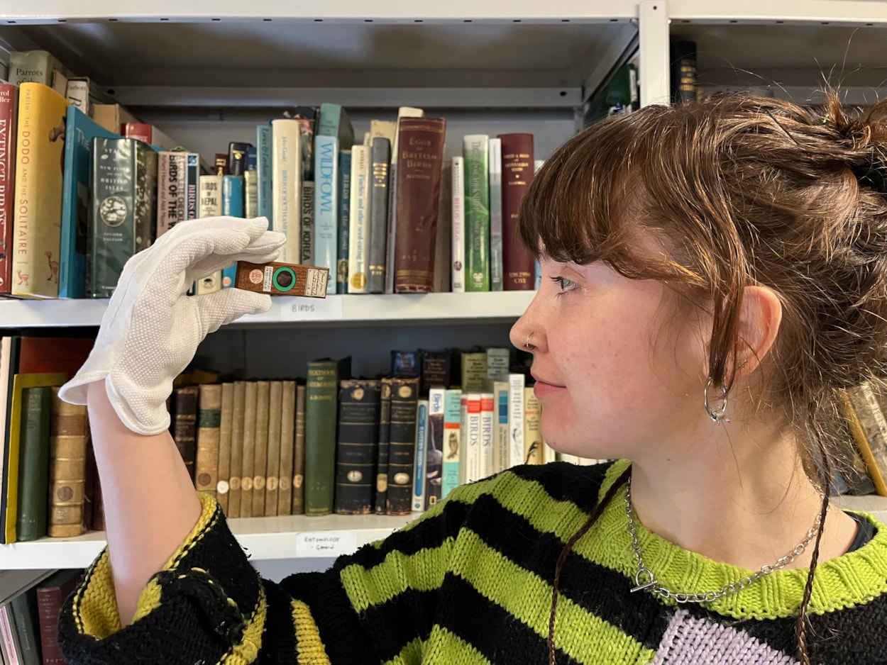 Microscope slides: Lizzie Gothorp, Leeds Museums and Galleries’ project placement with the microscope slide containing a crumb of ancient Egyptian bread that was found in a mummy’s tomb in Thebes.