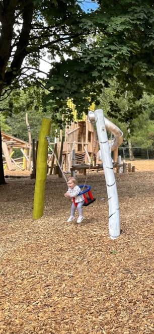 himley play area little girl on swing