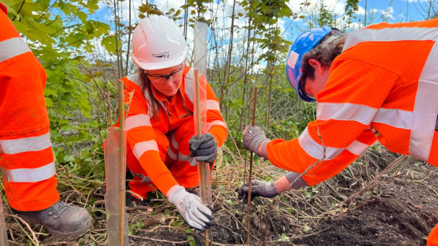 Network Rail planting a new hedgerow at Great Malvern station: Network Rail planting a new hedgerow at Great Malvern station