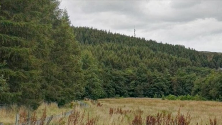 Work set to begin to remove diseased larch trees near Whitworth and Bacup