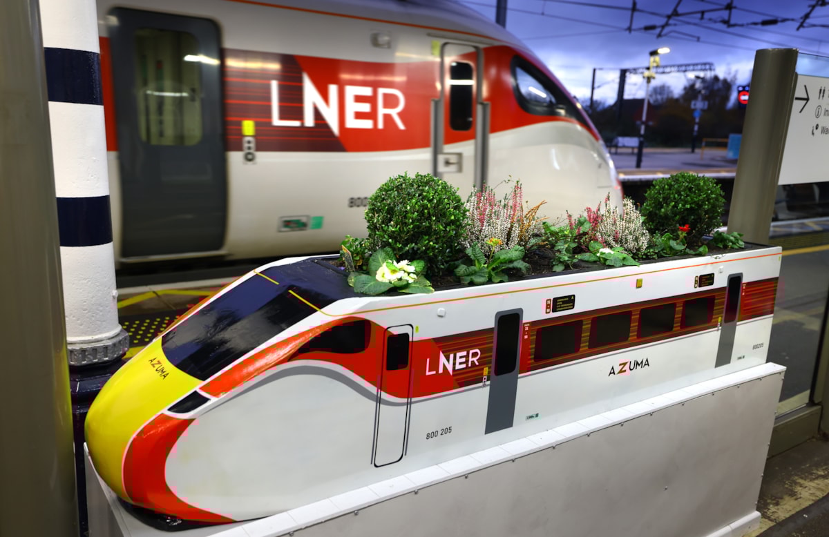 Azuma Planter with an Azuma