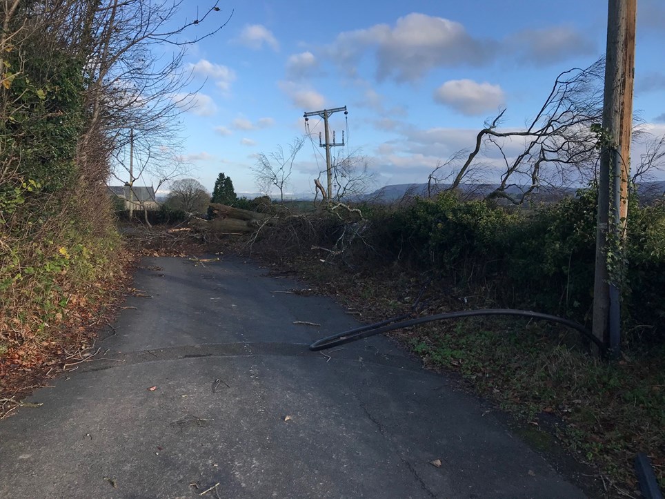 Broken branches in Yealand caused by Storm Arwen