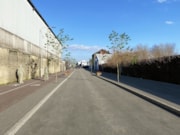 Abercorn Street visualisation: Abercorn Street visualisation