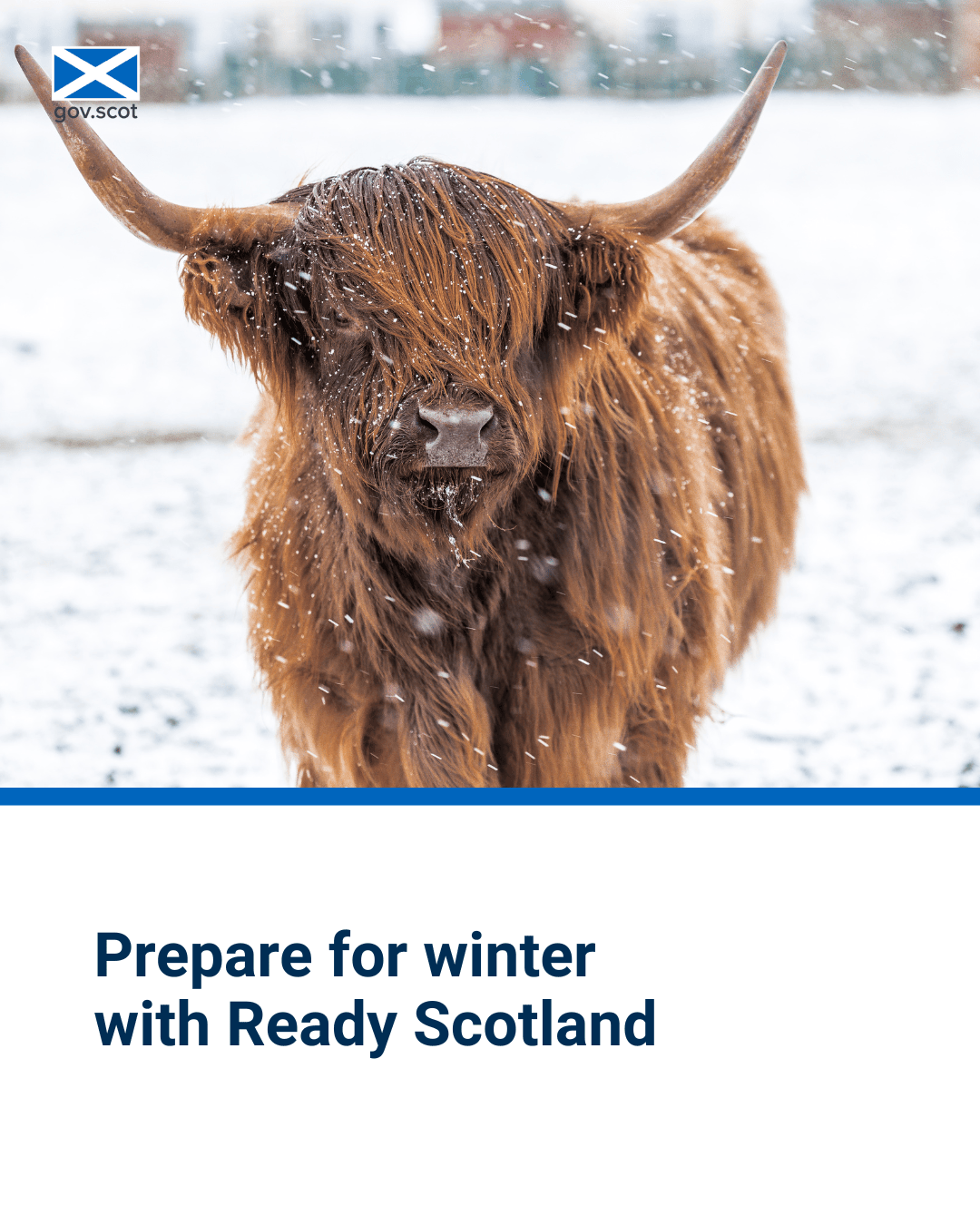 Coo - Portrait - Winter - SG Resilience - November 2025