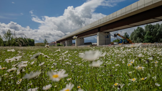 View of the viaduct from the wildflower meadow beneath the structure during the final stages of construction Spring 2026