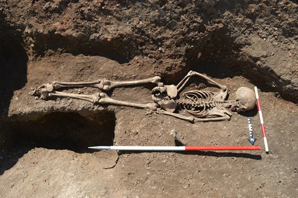 Unusual burial offers insights into the tragic stories of those considered outsiders in Early Medieval England: Close up of the Conington Burial ©MOLA Headland Infrastructure