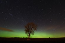 Starry skies and Aurora borealis (the Northern Lights) over Perthshire. ©Lorne Gill NatureScot