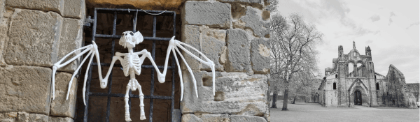 Nocturnal Creatures Trail at Kirkstall Abbey