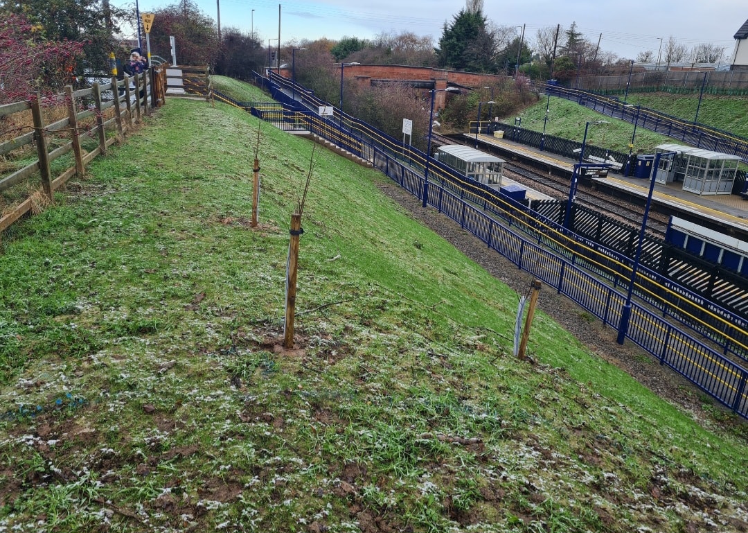 Yarm biodiversity project