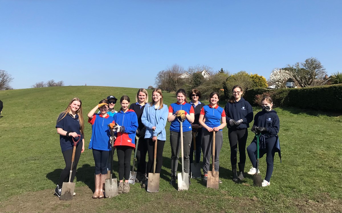 Three Fields Tree Planting Queen's Canopy