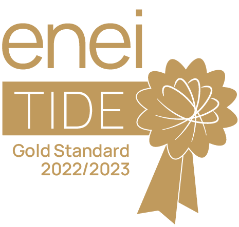 ENEI gold standard 2022