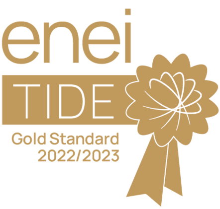 ENEI gold standard 2022