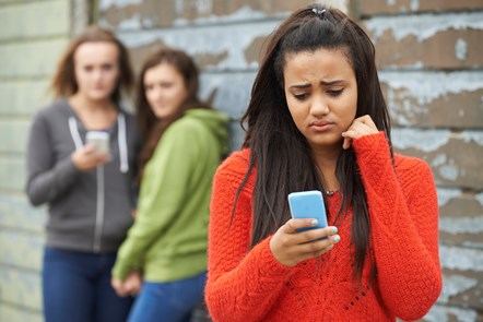 Pupil survey on bullying goes live