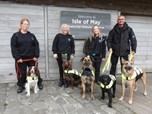K9 staff with sniffer dogs, from left to right From the team photo from left to right Lyn with Pyper, Lorriane with Nelson, Lucy with Esmay, and Simon with Molly and Storm. Credit NatureScot