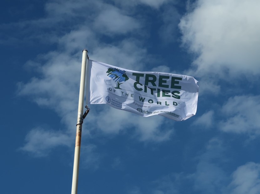 Leeds flies the flag as a Tree City of the World: tree cities of the world pr flag
