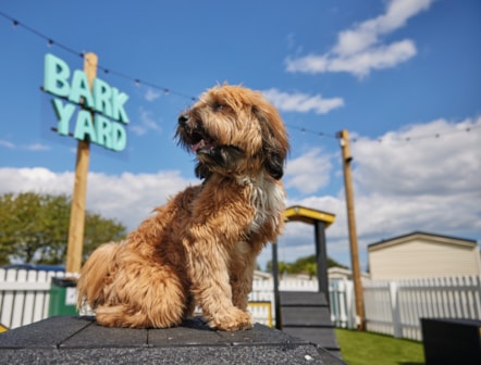 Skegness Bark Yard