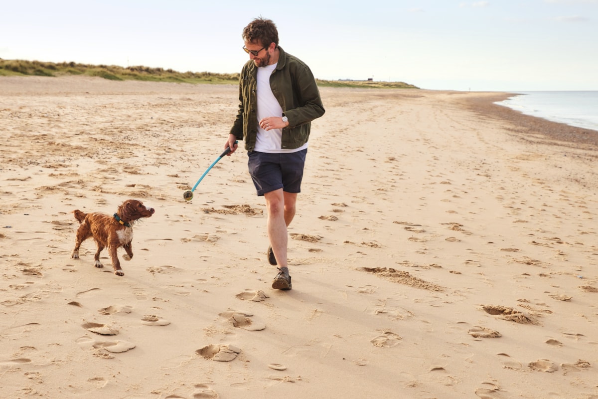 Dog walk on beach at Seashore