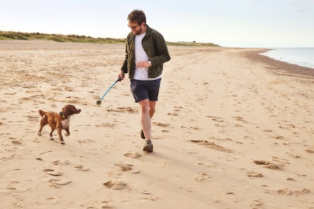 Dog walk on beach at Seashore