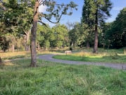 CallendarWood WIAT: CallendarWood WIAT