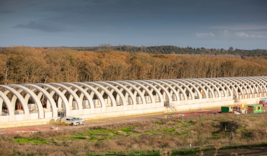 Progress on the arched structure of the bat mitigation structure with Sheephouse Wood behind Nov 2025