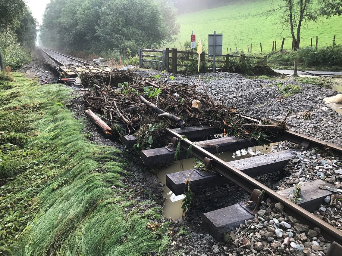 Damage was caused in two locations on the Heart of Wales line