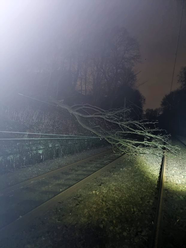 Tree down on overhead lines at Styal between Heald Green and Wilmslow