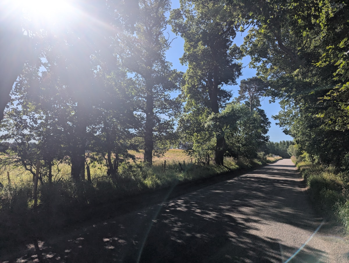 Elgin cemetery new site