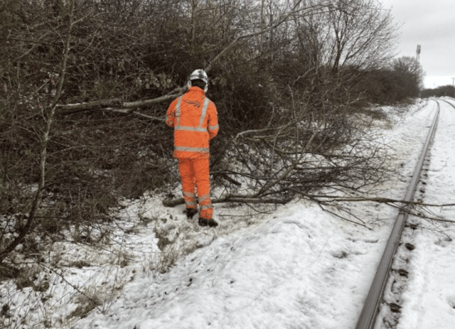 Storm Goretti - Network Rail teams clearing fallen trees Mid Wales: Storm Goretti - Network Rail teams clearing fallen trees Mid Wales
